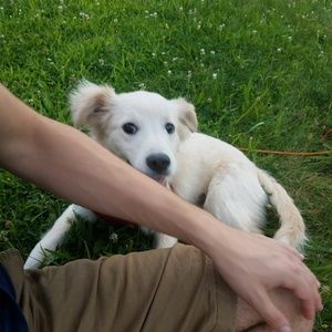 Meet your Posher, Meredith